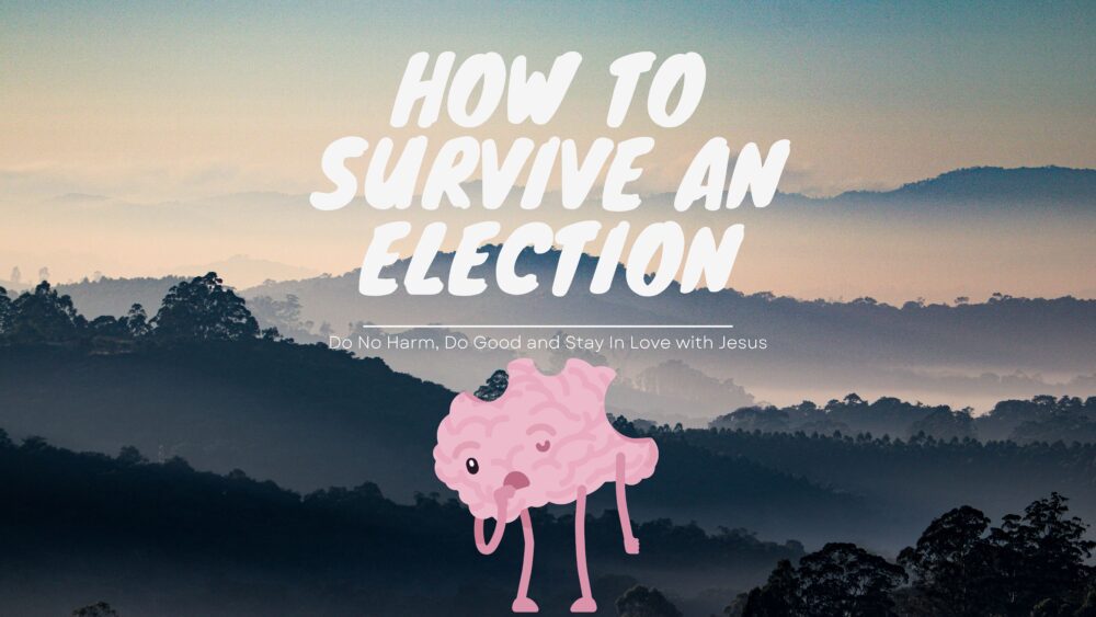 How to Survive an Election